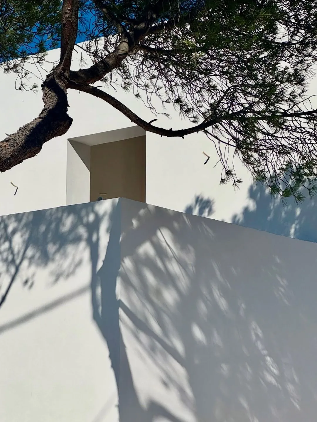 Olive Tree, loaction Paros, photo for Our Work page (scrolling photos).